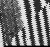 WA Now  Tom Mller Monolith Scores - Hotels Melbourne