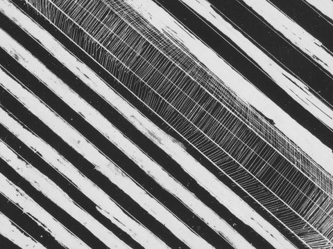 WA Now – Tom Mùller: Monolith Scores - Hotels Melbourne 0
