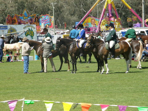 Wangaratta Show - Hotels Melbourne 0