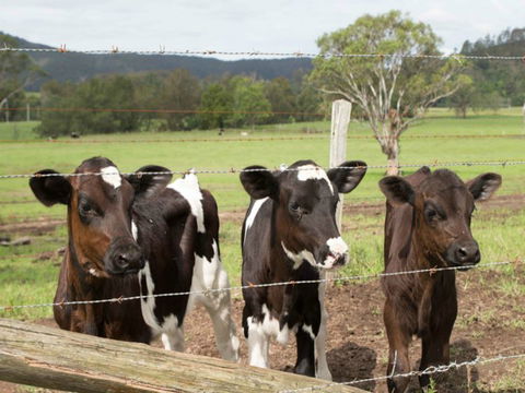 Bandon Grove Farm Tours - Hotels Melbourne 0