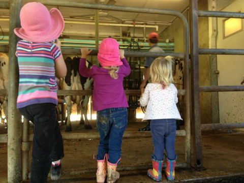 Bandon Grove Farm Tours - Hotels Melbourne 1