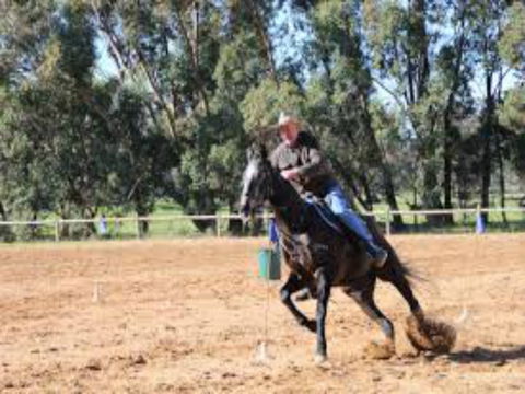 Glen William Gymkhana - Hotels Melbourne 1