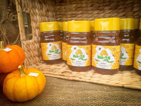 Greater Whitsunday Farmers Markets - Hotels Melbourne 1