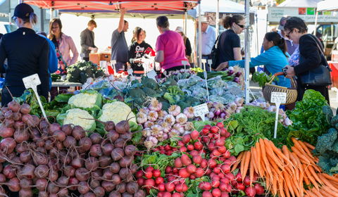 Harvest Launceston Community Farmers' Market - Hotels Melbourne 2