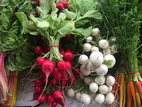 Joondalup Growers Market - Hotels Melbourne 1