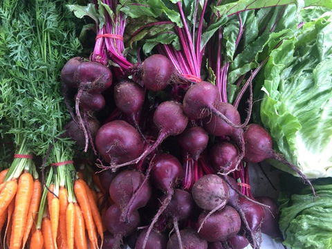 Joondalup Growers Market - Hotels Melbourne 2