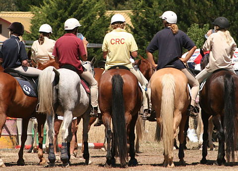 Michelago Pony Club Gymkhana And Sporting Spectacular - Hotels Melbourne 0