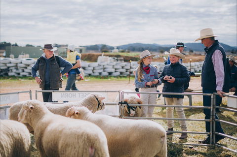 Mudgee Small Farm Field Days - Hotels Melbourne 0