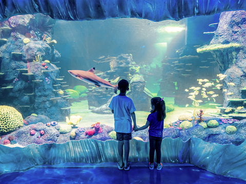 Sydney's Aquarium - Hotels Melbourne 1