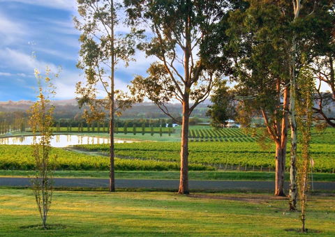 Estate Tuscany - Hotels Melbourne 6