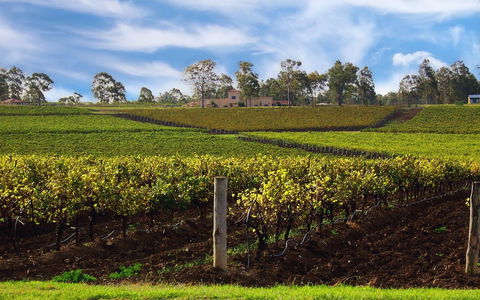 Estate Tuscany - Hotels Melbourne 3