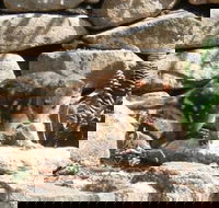 Jenolan Caves House - Hotels Melbourne