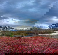 Saintys Creek Cottage - Hotels Melbourne