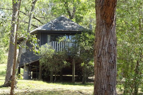 Barrington Tops Nest - Hotels Melbourne 2