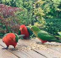 Crimson Villa - Hotels Melbourne