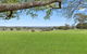 Paperbark Cottage Mowbray Park Farm - thumb 0