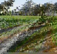 Renovated Cottage Aberdare Hunter Valley - Hotels Melbourne