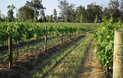 Renovated Cottage Aberdare Hunter Valley - Hotels Melbourne 0