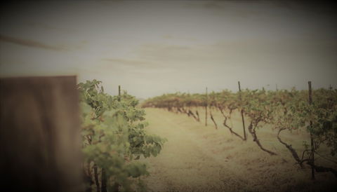 Unlax @ Hunter Valley - Hotels Melbourne 4