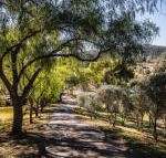 Capers Guesthouse Barn  Cottage - Hotels Melbourne
