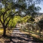 Capers Guesthouse Barn & Cottage - Hotels Melbourne 0