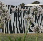 Zebras Guest House - Hotels Melbourne