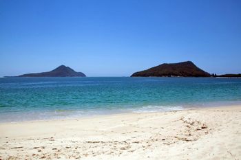 Radburn Unit 2 17 Ondine Close - Hotels Melbourne 4