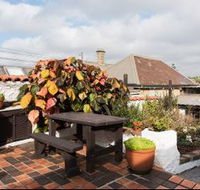 Clovelly Beach Cottage H372 - Hotels Melbourne