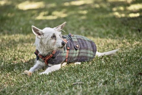 BEACH WITHIN REACH - Hotels Melbourne 4