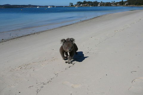 The Mitchells Waterfront Bed & Breakfast - Hotels Melbourne 7