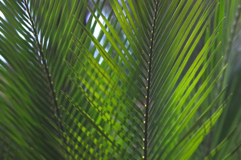 The Jackson Ranch - Hotels Melbourne 2