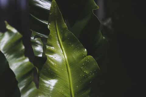 The Jackson Ranch - Hotels Melbourne 1