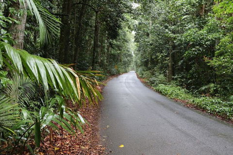 Chambers Wildlife Rainforest Lodges - Hotels Melbourne 2
