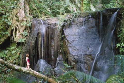 Chambers Wildlife Rainforest Lodges - Hotels Melbourne 1