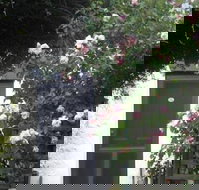 Ivy on Glenelg - Hotels Melbourne