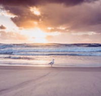 Blue Waters Motel - Hotels Melbourne