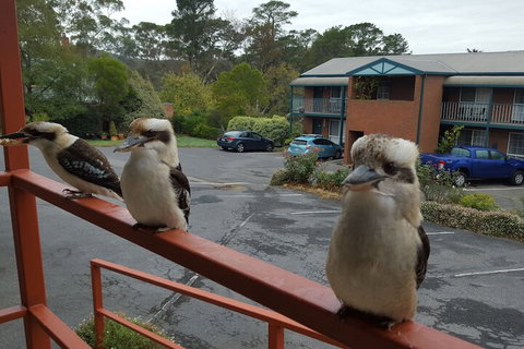 Hepburn Springs Motor Inn - Hotels Melbourne 6