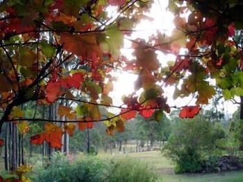 Elfin Hill Country Accommodation - Hotels Melbourne 0