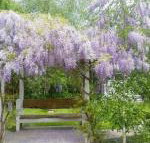 Amelina Cottages - Hotels Melbourne