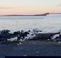 Hilton Motel - Hotels Melbourne