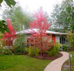 Dalrymples Guest Cottages - Hotels Melbourne