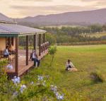 Hanging Tree Wines - Hotels Melbourne