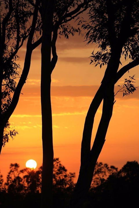 Bella Wind Bed & Breakfast - Hotels Melbourne 3