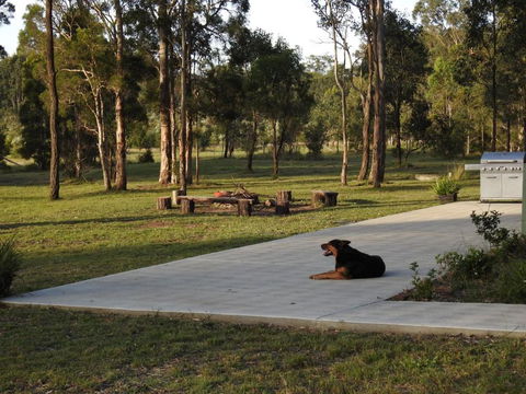 Wallaby Cottage Cute Accom In Bushland Setting - Hotels Melbourne 3