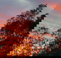 The York Heritage Hotel  Terraces - Hotels Melbourne