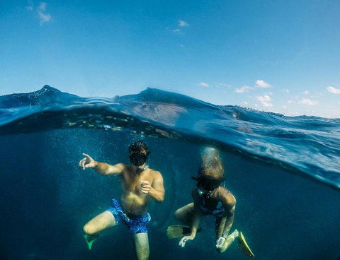 Manta Lodge YHA & Scuba Centre - Hotels Melbourne 6