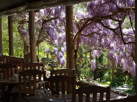 Skillogalee Winery & Restaurant - Hotels Melbourne 2