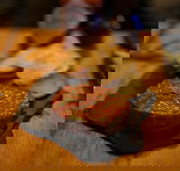 Hell of the North - Hotels Melbourne