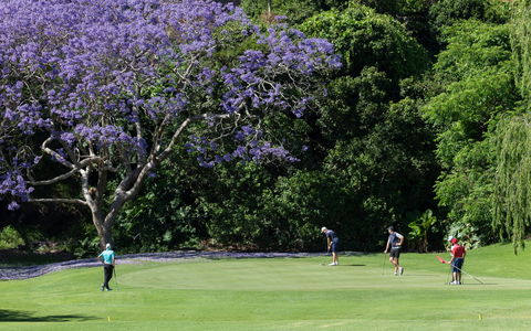 Kiama Golf Club - Hotels Melbourne 2