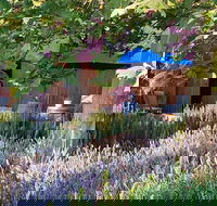 Macquariedale Organic Wines - Hotels Melbourne